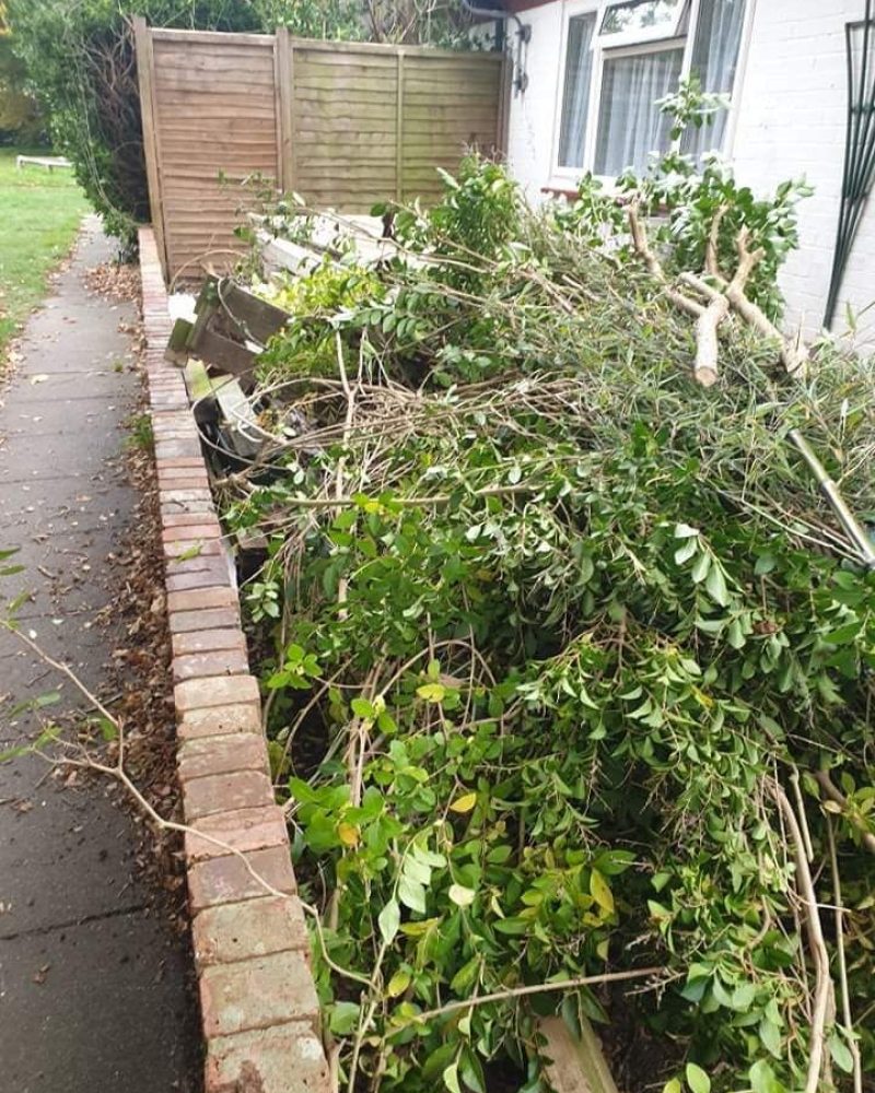 rubbish removal services